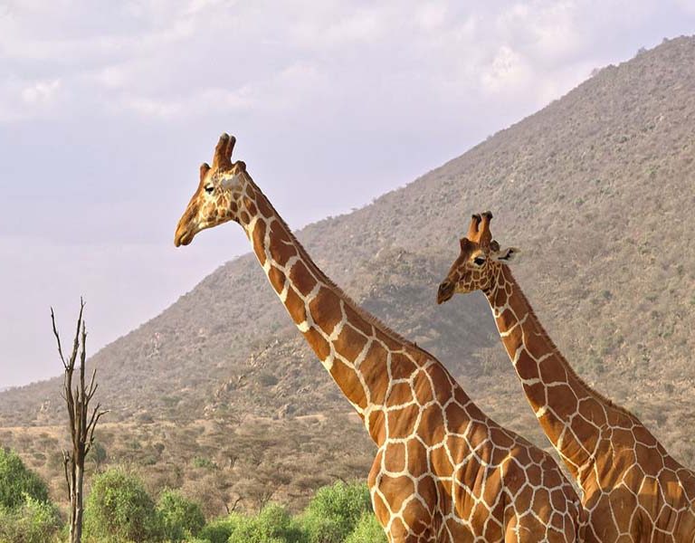 Top Kenya Adventures Beyond the Big Five. Discovery Journeys