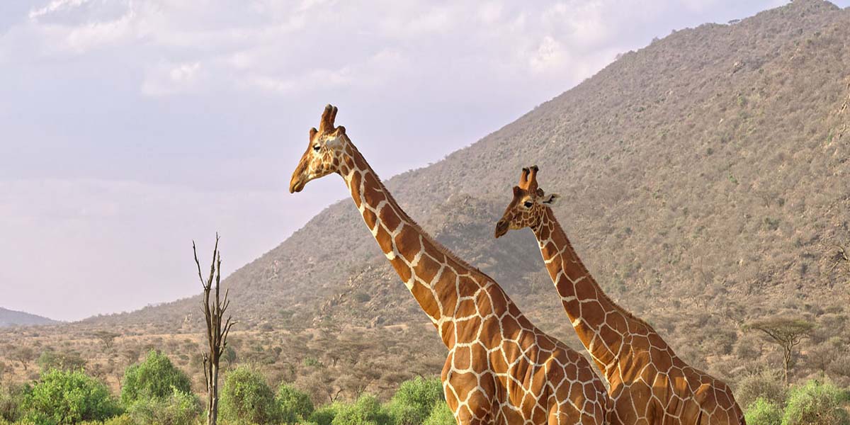Top Kenya Adventures Beyond the Big Five. Discovery Journeys