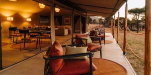 Where to Stay on a Tanzania Luxury Safari Adventure. Discovery Journeys