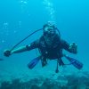 Exploring Zanzibar Scuba Diving Adventures. Discovery Journeys