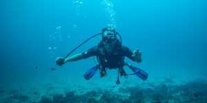 Exploring Zanzibar Scuba Diving Adventures. Discovery Journeys