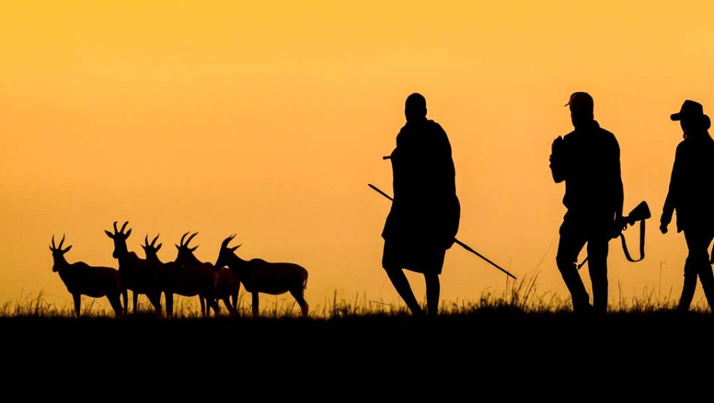 The Appeal of Kenya Walking Safaris. Discovery Journeys