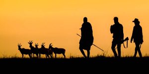 The Appeal of Kenya Walking Safaris. Discovery Journeys